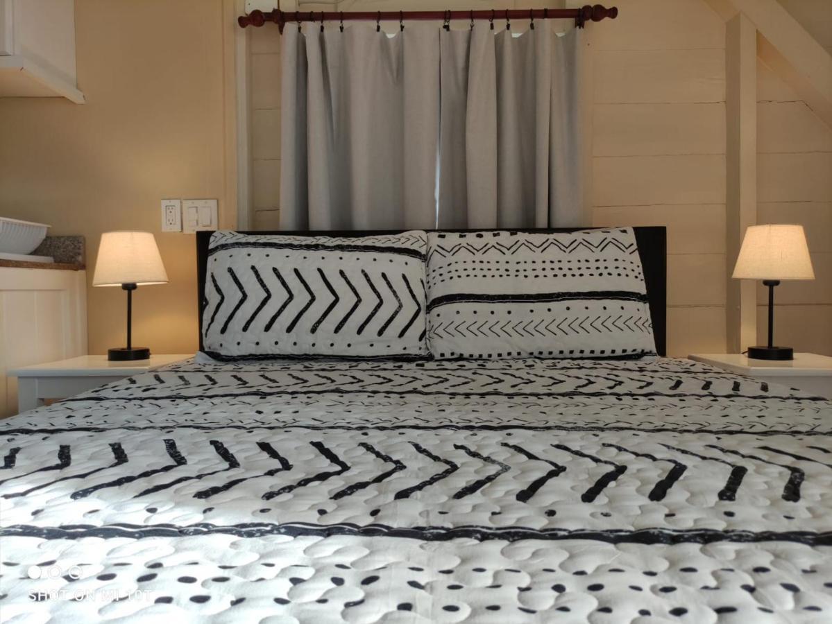 Santuarios Del Mar Apartment Bocas Town Bagian luar foto